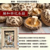 日本九州產直送原木生長無農薬栽培肉厚椎茸